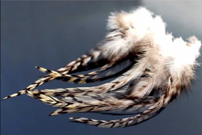 Barred Saddle Hackle Feathers